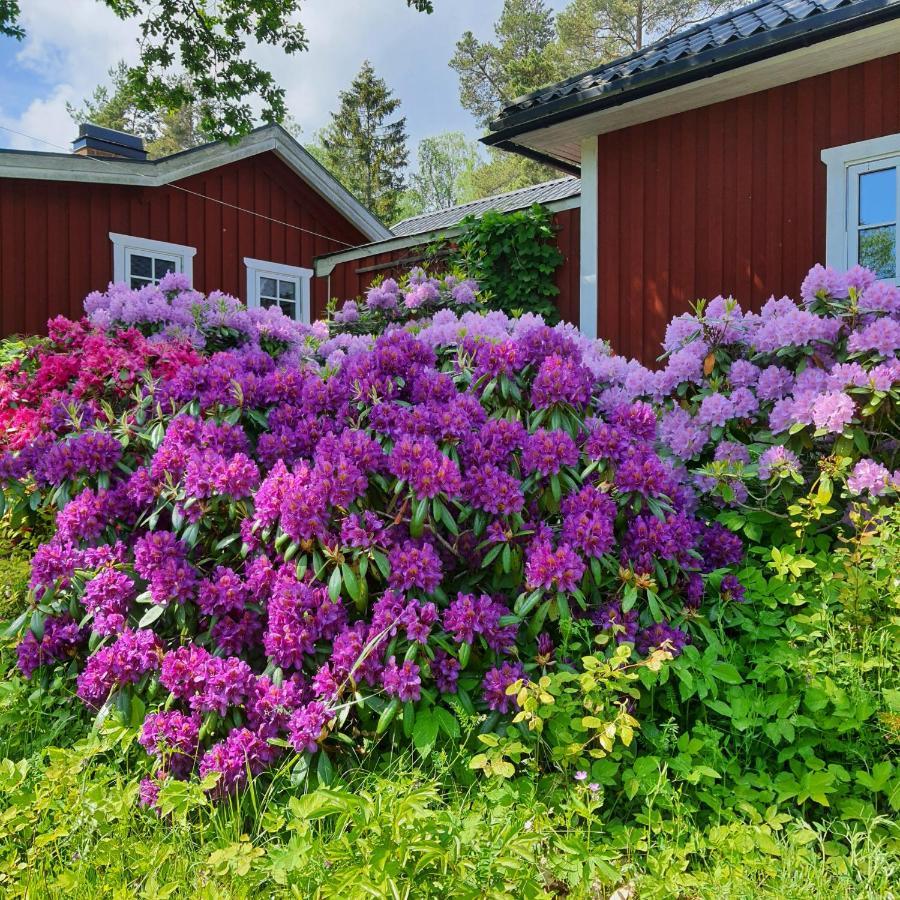 Vila Torpet Gardsvaegen Hammar Exteriér fotografie